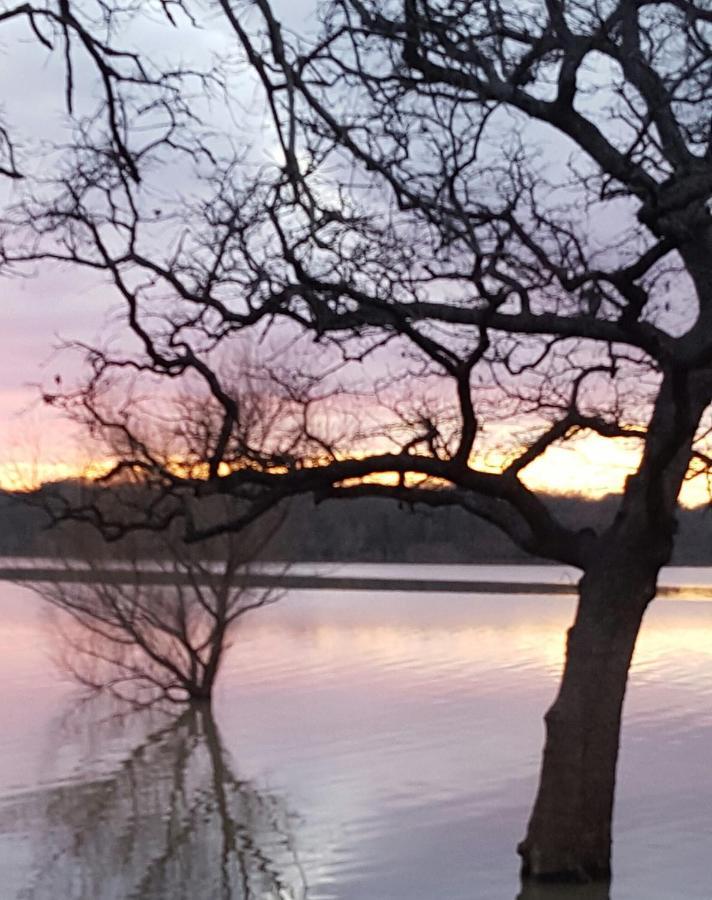 Lake Front Cottage Little Elm 外观 照片